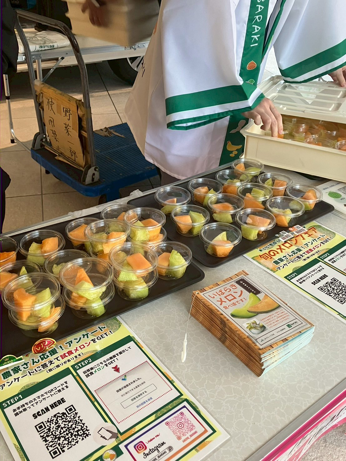 模擬せり体験&いいものいっぱいいばらき 旬のメロンフェア!