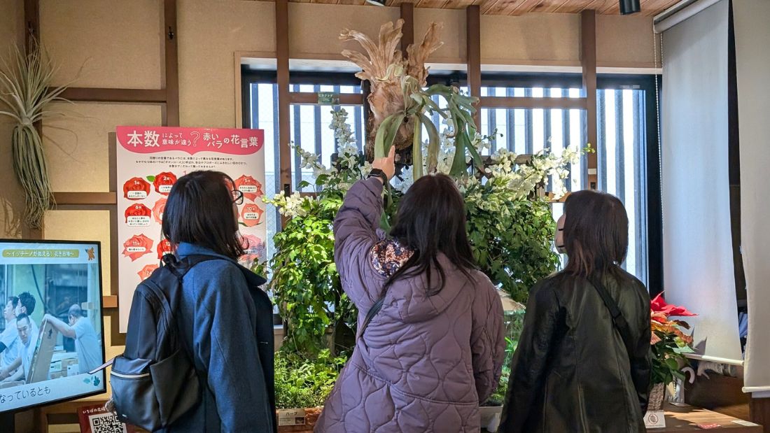 花のある生活を楽しもう