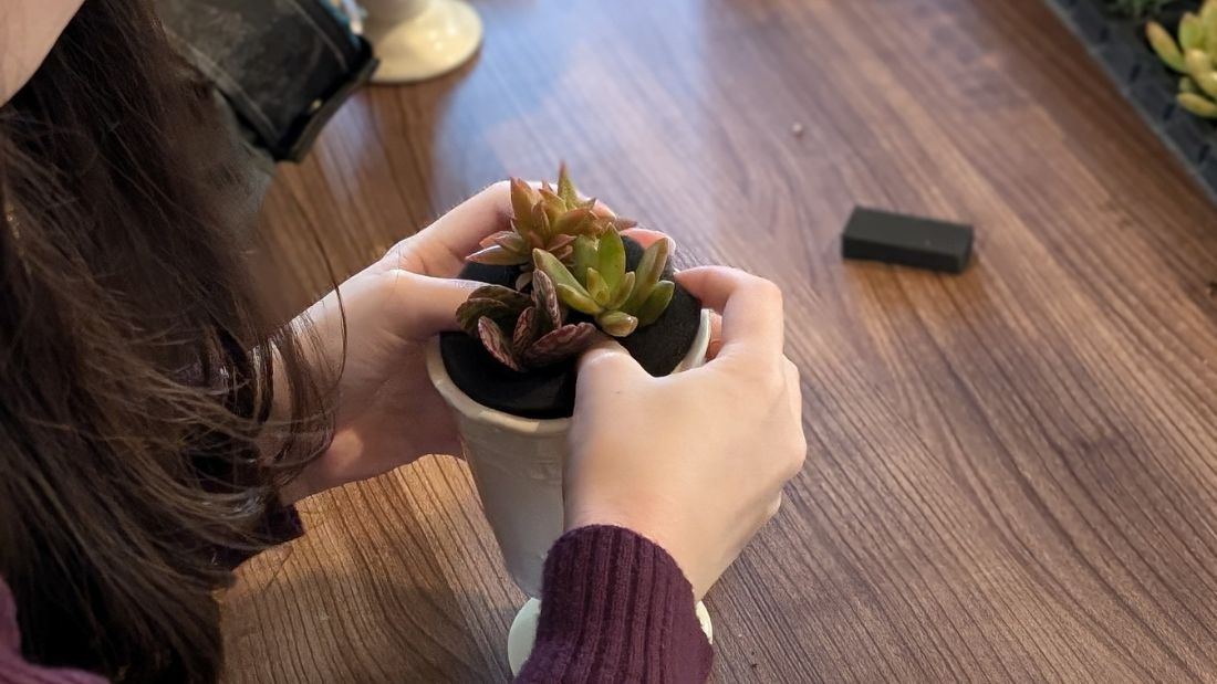 多肉植物寄せ植え体験