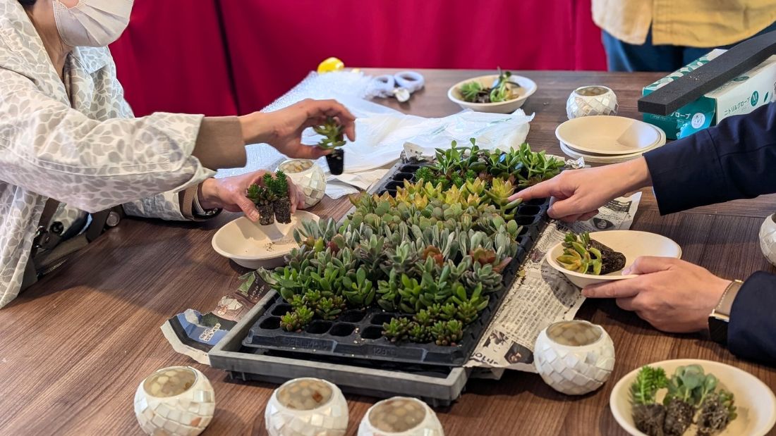 多肉植物寄せ植え体験