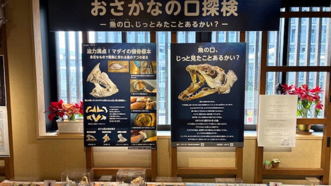 おさかなの口探検2＆おさかなの口探検の裏側