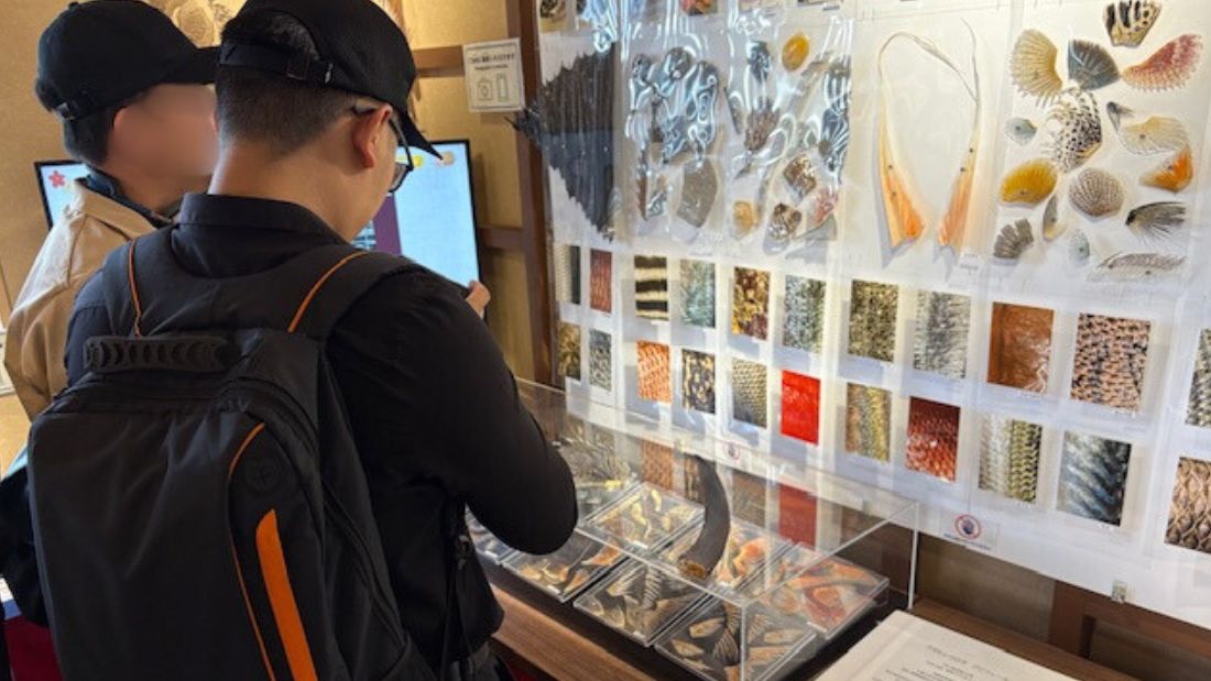 素敵なウオヒレの世界 in 豊洲 千客万来　いちばの広場