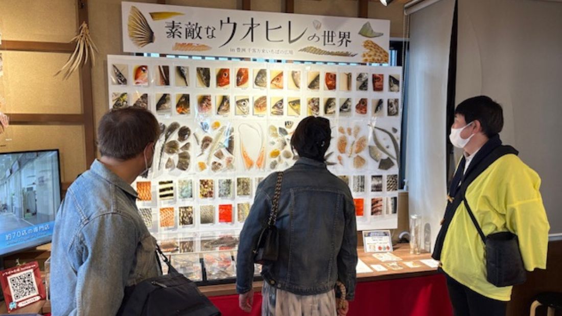素敵なウオヒレの世界 in 豊洲 千客万来　いちばの広場