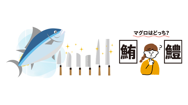 マグロと職人の道具2&おさかなを遊びながら知ろう！