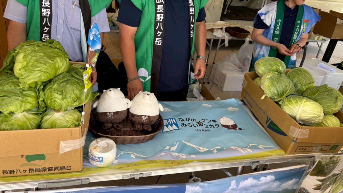 >模擬せり体験&八ヶ岳高原レタス・嬬恋高原キャベツフェア
