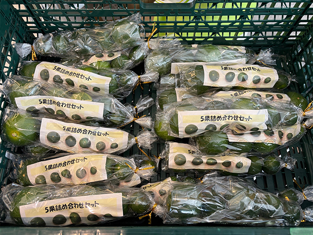 模擬せり体験&五つの柑橘大集合!和柑橘フェス&栃木の梨フェア