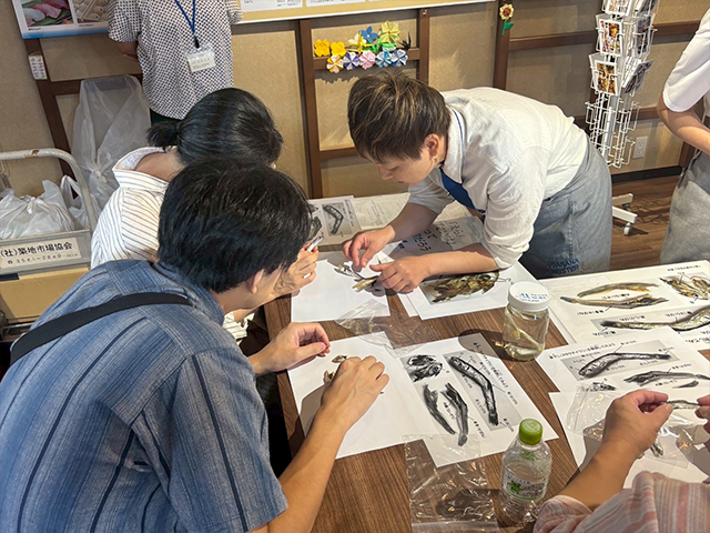 おさかなマイスターによるにぼしの解剖講座