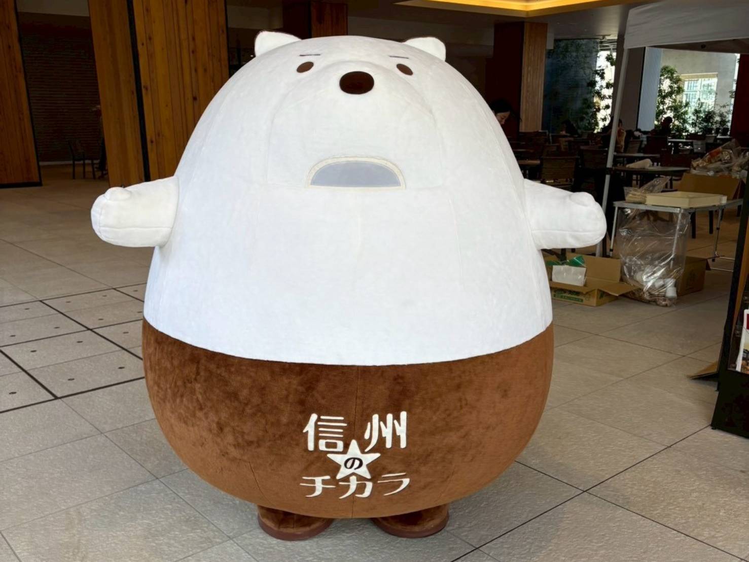 新潟県きのこ主産地合同フェア