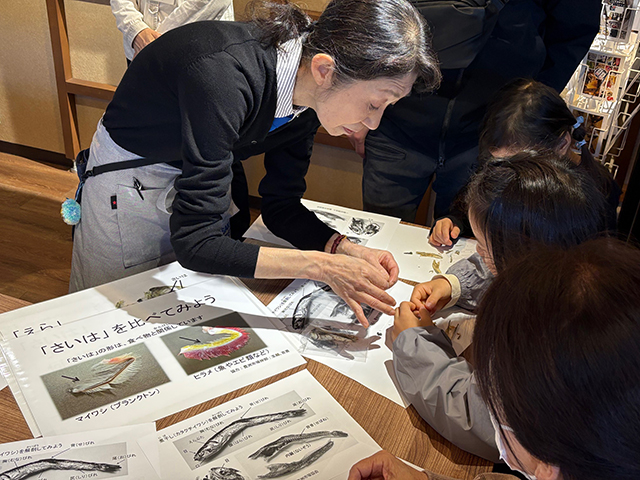 にぼしの解剖講座