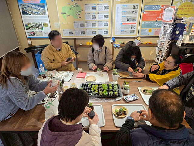 多肉植物寄せ植え体験
