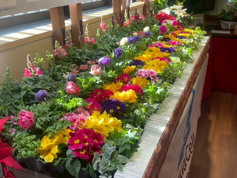 花のある生活を楽しもう