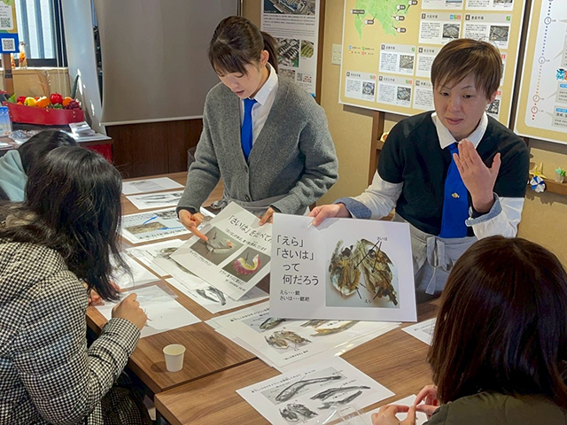 にぼしの解剖講座